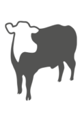 Иконка коровы