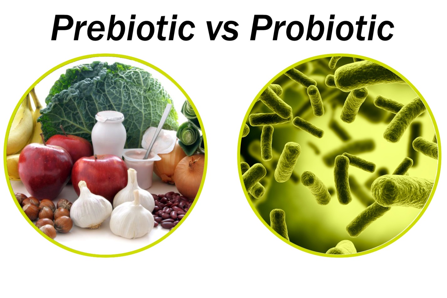 Пробиотики в животноводстве